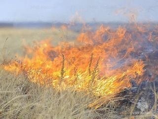 Пожар в муниципальном образовании Бейский район